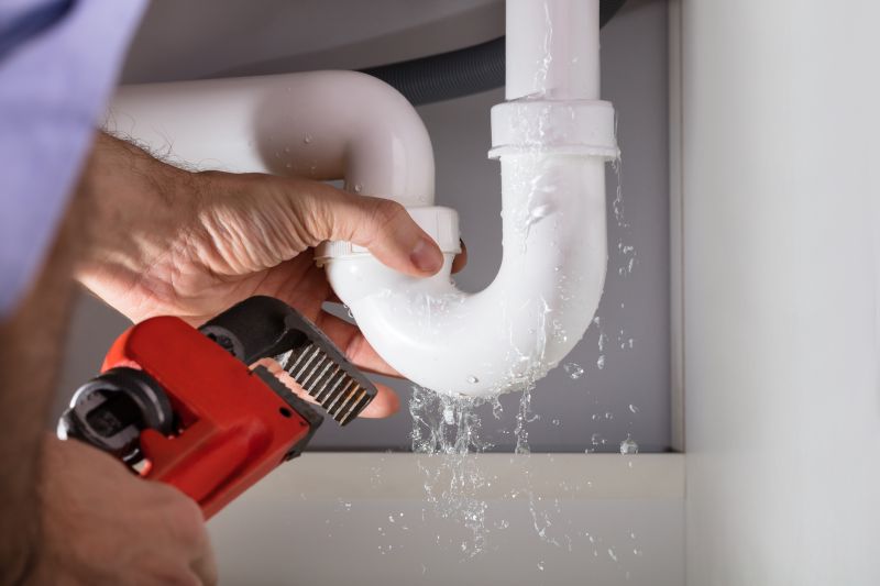How Professional Plumbing Leak Detection Works