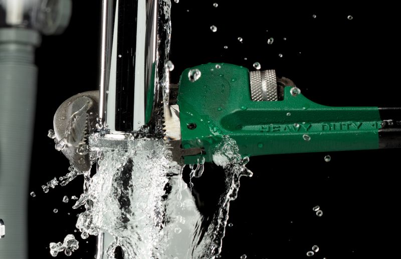 How Professional Plumbing Leak Detection Works